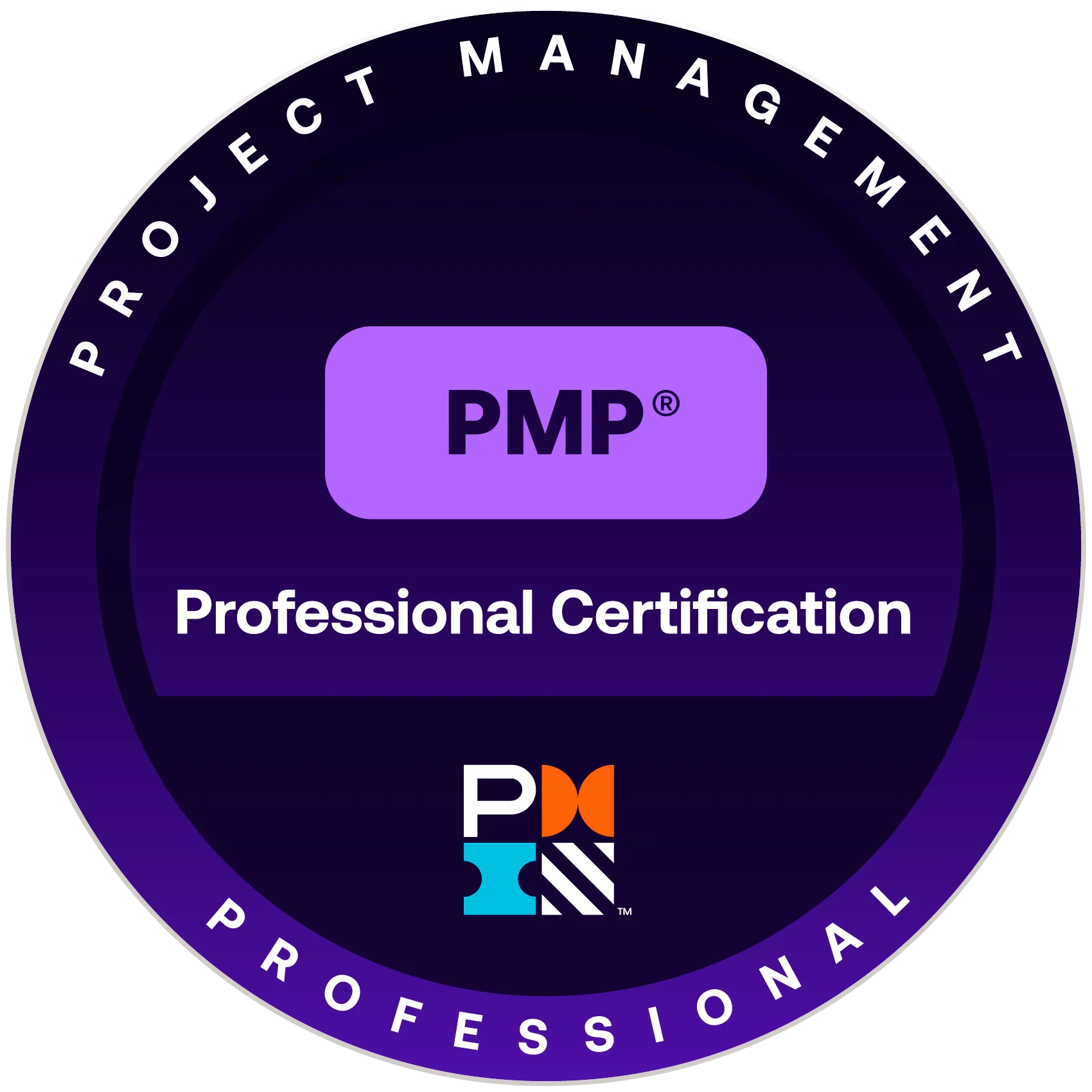 PMP Professional Certification